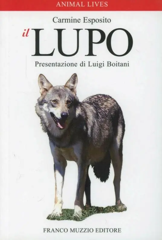 Offerta Lampo Il lupo. Ediz. illustrata