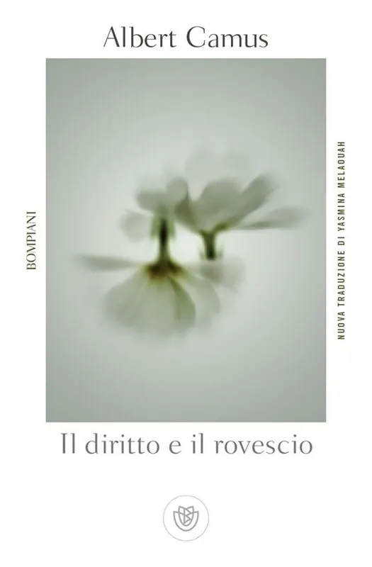 Promo Stagionale Il diritto e il rovescio