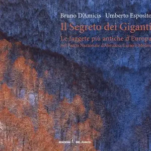 Acquista Ora Il segreto dei giganti. Le faggete più antiche d‘Europa nel Parco Nazionale d‘Abruzzo, Lazio e Molise. Ediz. italiana e inglese
