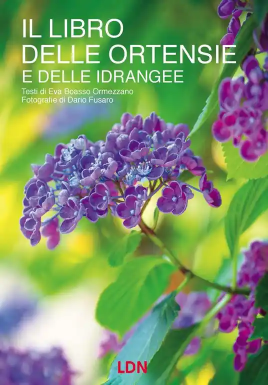 Esclusivo Il libro delle ortensie e dell idrangee