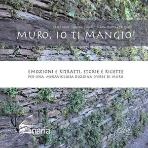 Compra Online Muro, io ti mangio! Emozioni e ritratti, storie e ricette per una meravigliosa dozzina d‘erbe di muro