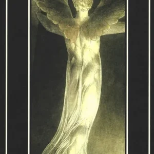Canti dell‘innocenza e dell‘esperienza. Che mostrano i due contrari stati dell‘anima umana Subito Disponibile