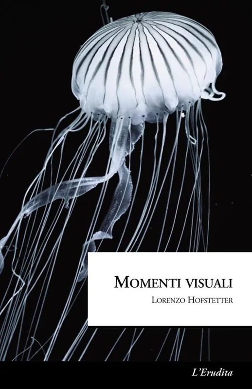 Spedito Oggi Momenti visuali