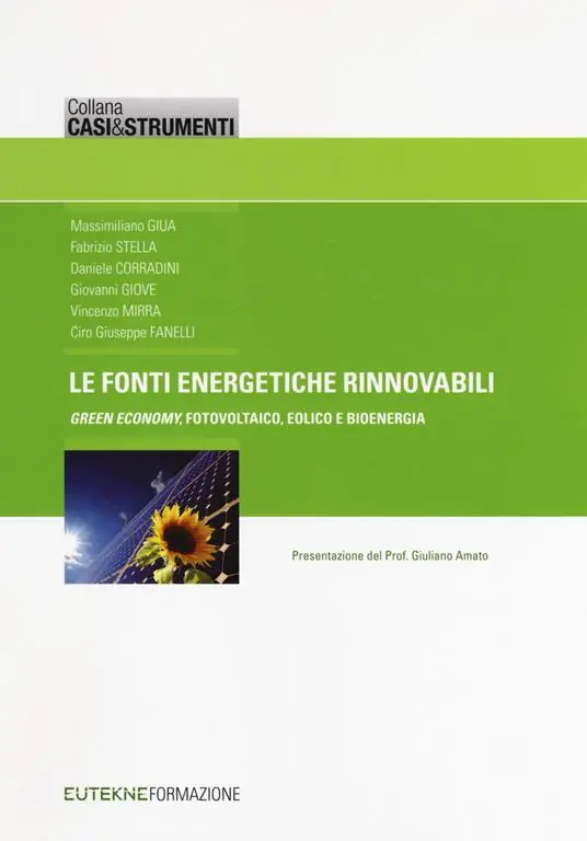 Occasione Imperdibile Le fonti energetiche rinnovabili. «Green economy», fotovoltaico, eolico e bioenergia