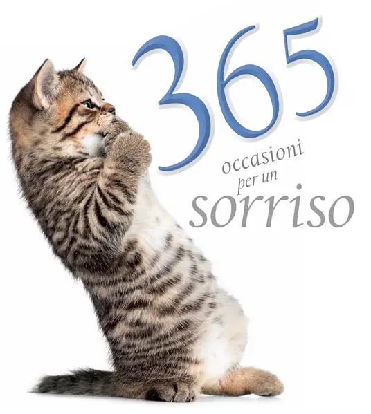 365 occasioni per un sorriso. Ediz. a colori Compra Online