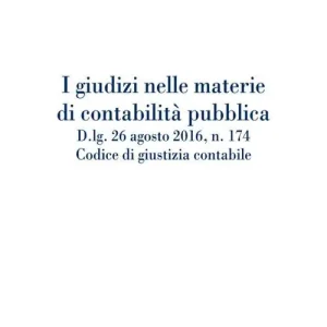 Acquista Ora I giudizi nelle materie di contabilità pubblica