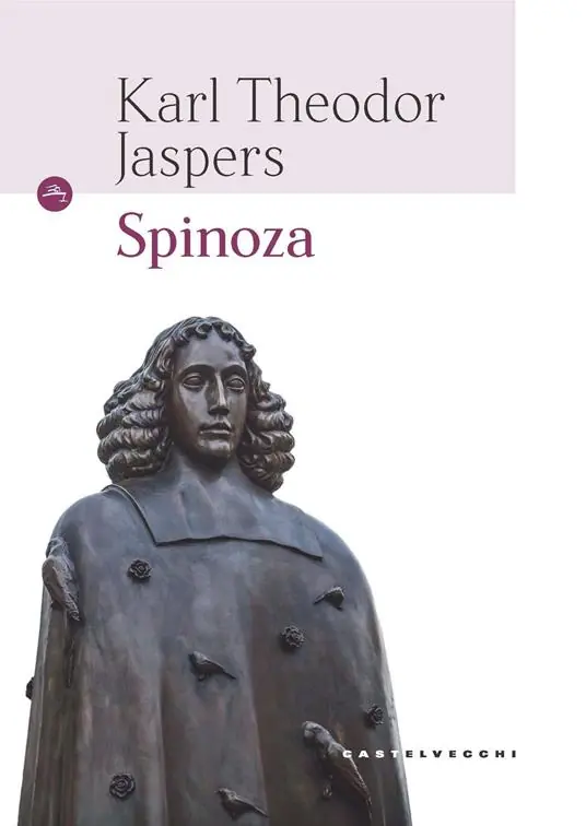 Professionale Spinoza