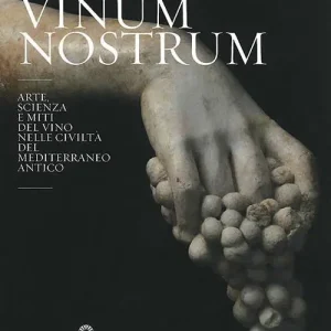Vinum nostrum. Arte, scienza e miti del vino nelle civiltà del Mediterraneo antico. Catalogo della mostra (Firenze, 20 luglio 2010-30 aprile 2011). Ediz. illustrata Solo Oggi