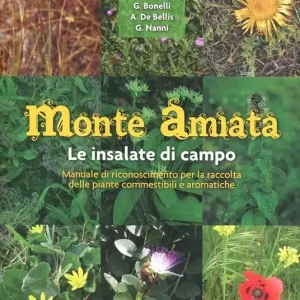 Monte Amiata. Le insalate di campo. Manuale di riconoscimento per la raccolta delle piante commestibili e aromatiche Reso Gratuito