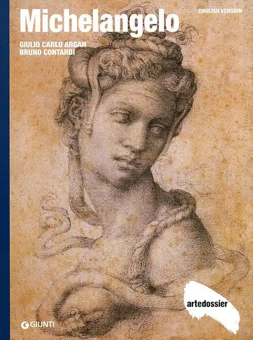 Michelangelo. Ediz. inglese Occasione