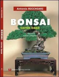 Bonsai. Corso base A Buon Prezzo