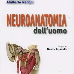 Neuroanatomia dell‘uomo Professionale