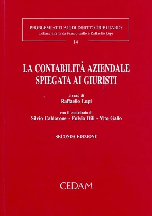 Occasione Imperdibile La contabilità aziendale spiegata ai giuristi