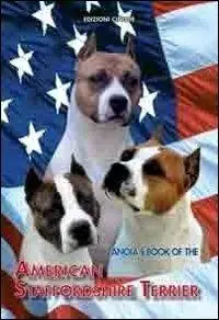 American staffordshire terrier Spedito Oggi