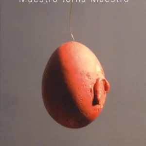 Consegna Rapida Luciano Fabro. Maestro torna Maestro. Atti delle giornate di studio (Milano, 3-4 febbraio 2010). Ediz. illustrata