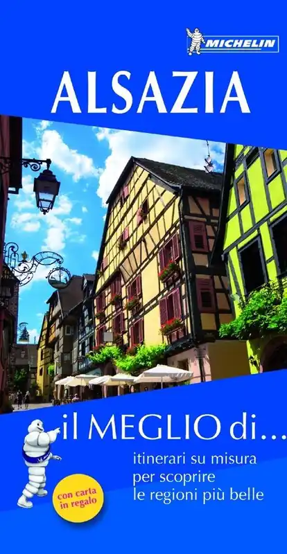 Alsazia. Con carta stradale Saldi
