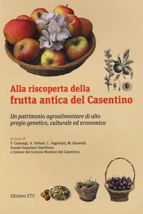 Prezzo Ridotto Alla riscoperta della frutta antica del Casentino. Un patrimonio agroalimentare di alto pregio genetico, culturale ed economico