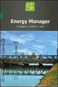 Energy manager. Ediz. italiana Professionale