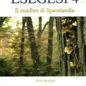Esegesi 4. Il confine di Spacelandia. Accorgersi. Con DVD Ultime Pezzi
