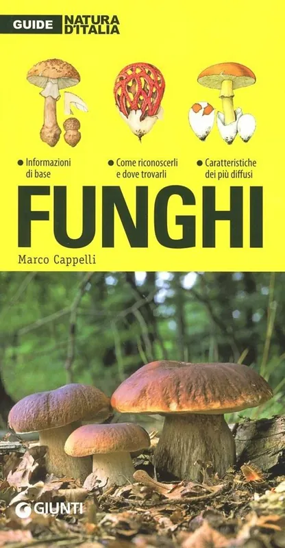 Offerta Funghi