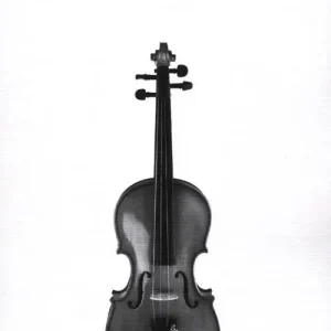 Più Venduto Stile e idea. Saggi critici di musicologia
