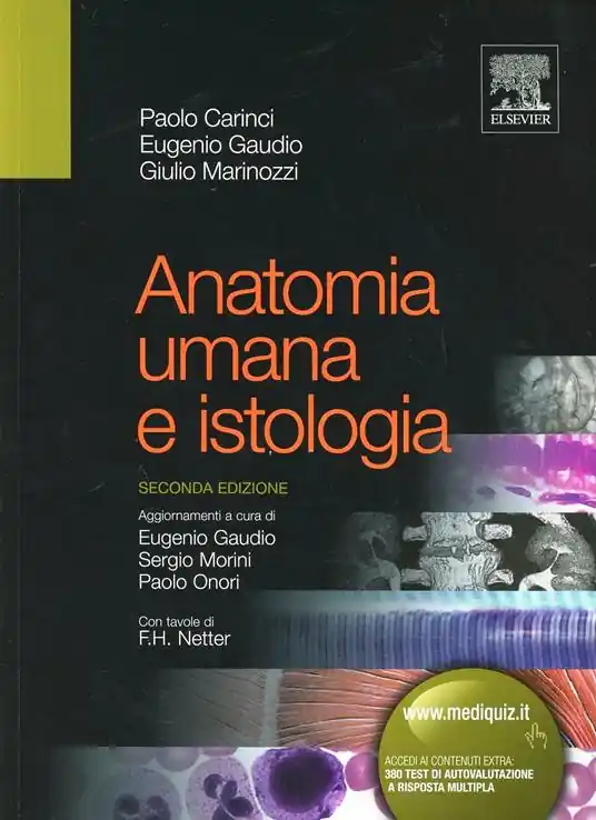 Quantità Limitata Anatomia umana e istologia