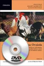 Razze rustiche e locali. La gallina ovaiola. Con DVD Solo Oggi