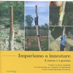 Il frutteto. Impariamo a innestare a marza e a gemma. Con DVD Sconto