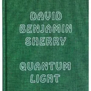 Quantum light. Ediz. illustrata Occasione Imperdibile