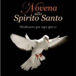 Quantità Limitata Novena allo Spirito Santo. Meditazioni per ogni giorno