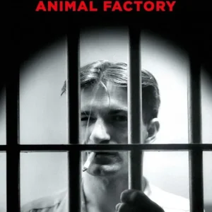 Animal Factory Prezzo Conveniente