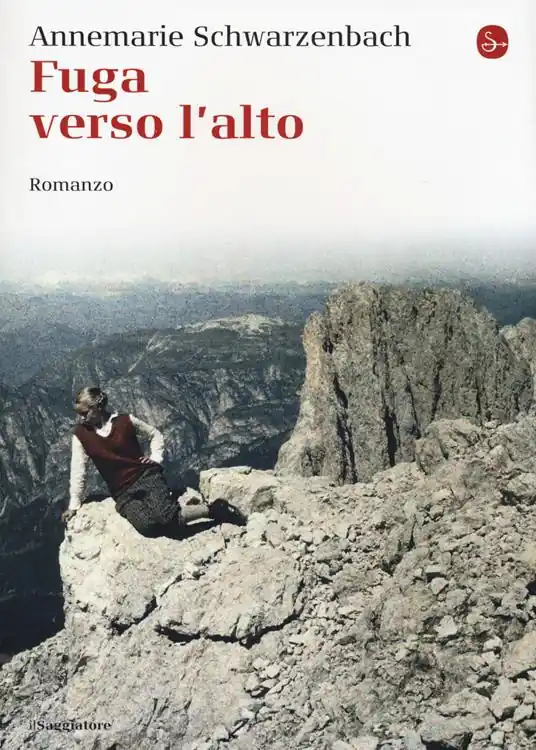 Spedito Oggi Fuga verso l‘alto