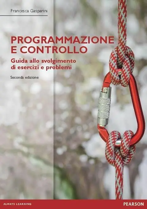 Programmazione e controllo. Guida alla soluzione di esercizi e problemi Prezzo Scontato