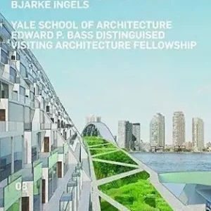 Ultima Occasione Social infrastructure New York. Ediz. illustrata