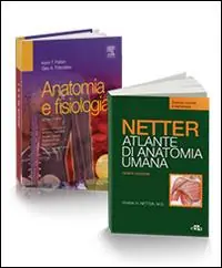Spedito Oggi Anatomia per scienze motorie e fisioterapia. Atlante anatomia umana. Selezione tavole per scienze motorie-Anatomia e fisiologia