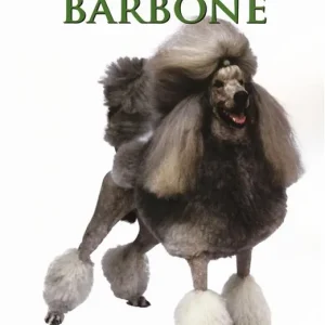 Barbone Offerta Speciale