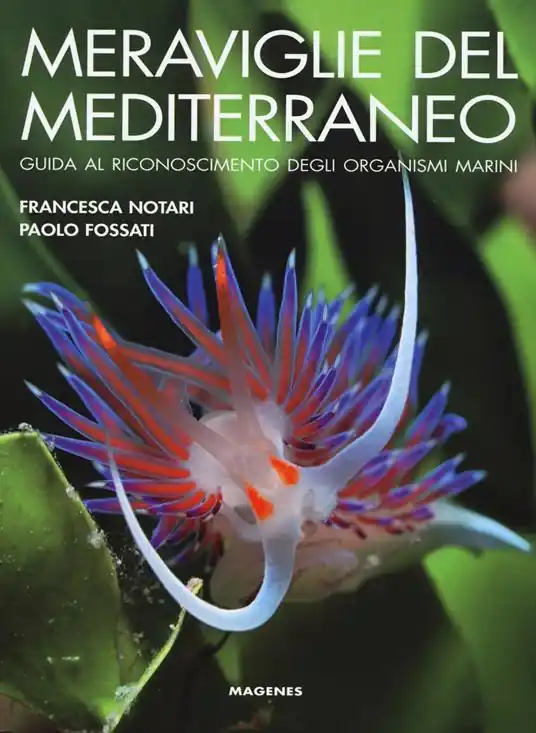 Meraviglie del Mediterraneo. Guida al riconoscimento degli organismi marini. Ediz. illustrata Ordina Subito