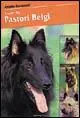 Miglior Prezzo Cani da pastore belgi