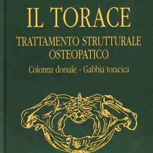Reso Gratuito Il torace. Trattamento strutturale osteopatico. Colonna dorsale, gabbia toracica