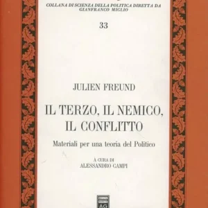 Il terzo, il nemico, il conflitto. Materiali per una teoria del politico Occasione