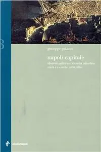 Popolare Napoli capitale. Identità politica e identità cittadina. Studi e ricerche 1266-1860
