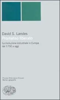 Must-Have Prometeo liberato. Trasformazioni tecnologiche e sviluppo industriale nell‘Europa occidentale dal 1750 ai giorni nostri