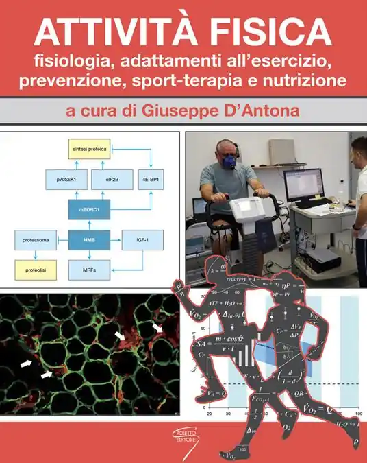 Attività fisica. Fisiologia, adattamenti all‘esercizio, prevenzione, sport-terapia e nutrizione. Con Contenuto digitale per download e accesso online Offerta Lampo