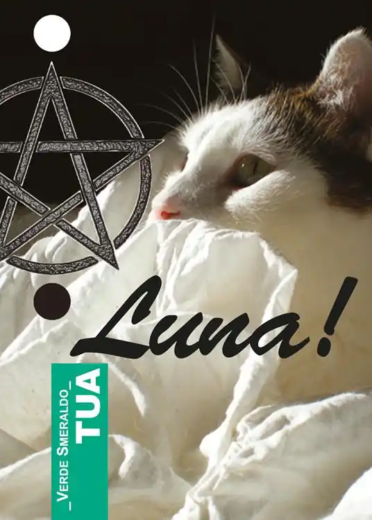 Nuova Collezione Tua luna!
