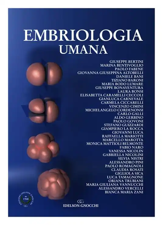 Embriologia umana Solo Oggi