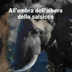 Solo Oggi All‘ombra dell‘albero delle salsicce. Storie sulla conservazione della fauna in Zimbabwe