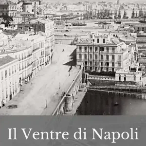 Il ventre di Napoli. Nuova ediz. Ordina Subito