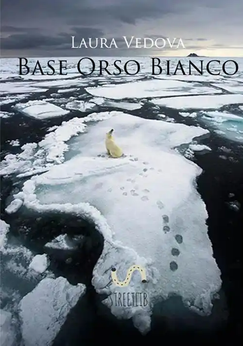 Prezzo Conveniente Base Orso Bianco