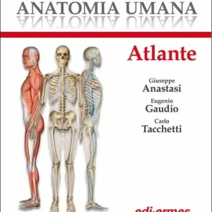 Anatomia umana. Atlante Non Perdere