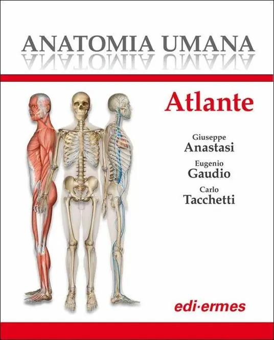 Anatomia umana. Atlante Non Perdere